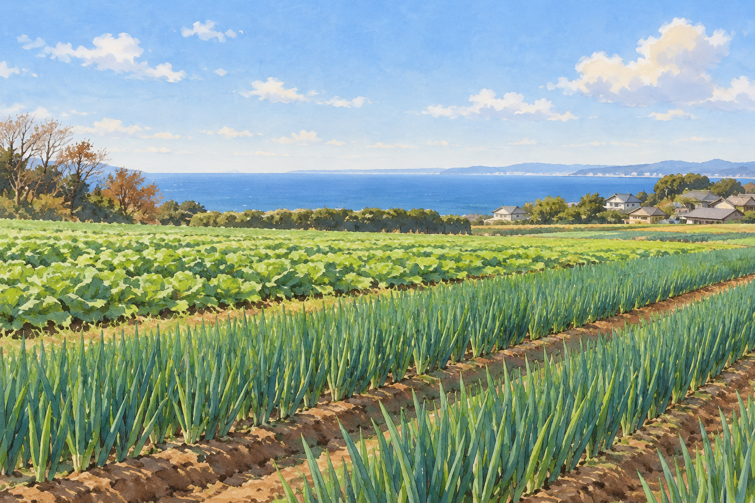 三浦市公式の農産物紹介にある畑と海の景観をモチーフに、野菜の畝と低い町並み、遠い海を描いた創作イラスト。特定の農地や作物、現在の景観、通行の可否を示す写真ではありません