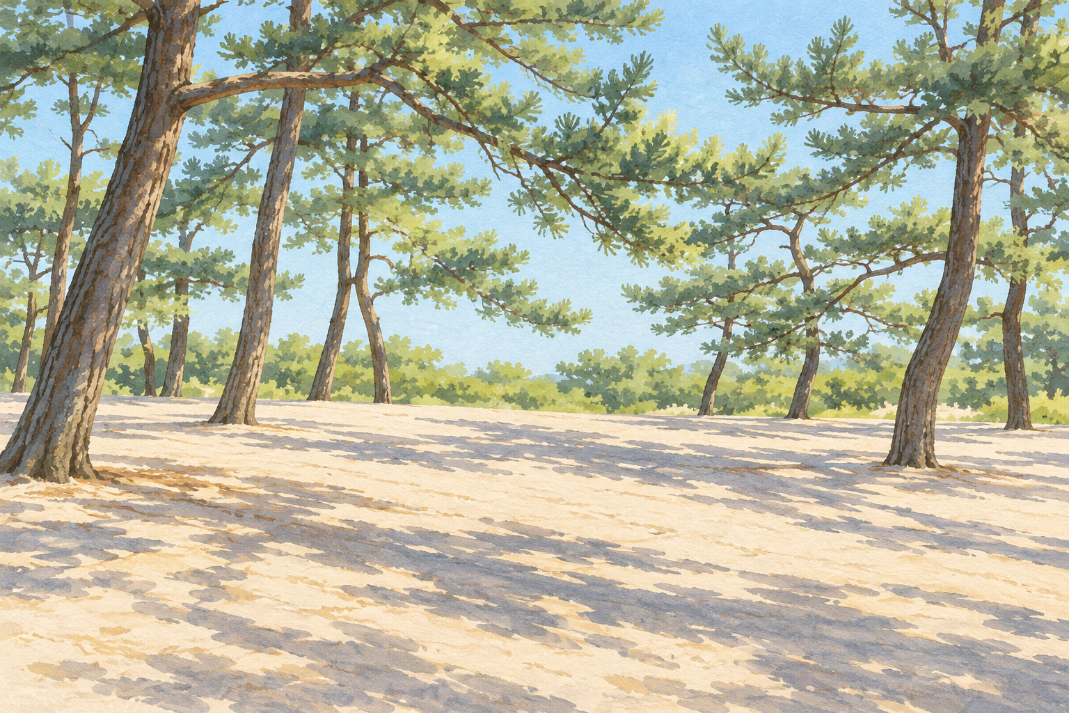 入善町が掲載する園家山の写真をモチーフに、松の幹と枝、明るい砂の地面と木漏れ日を描いた創作イラスト。木や枝・緑・地面・光・配置は創作と簡略化を含み、正確な地形や樹種・現在の設備や利用・季節・通行・安全を示す写真ではありません