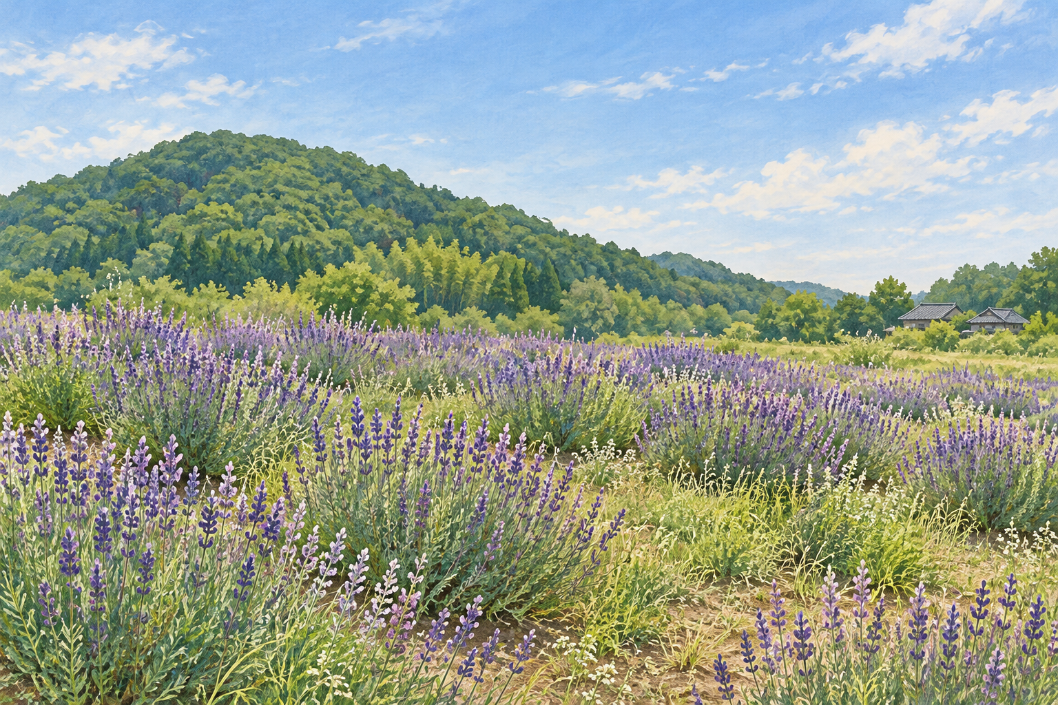 嵐山町の2025年の景観資料を参考に、ラベンダーの畑と低い緑の丘を描いた創作イラスト。実景写真や現在の開花・催事を示すものではありません。
