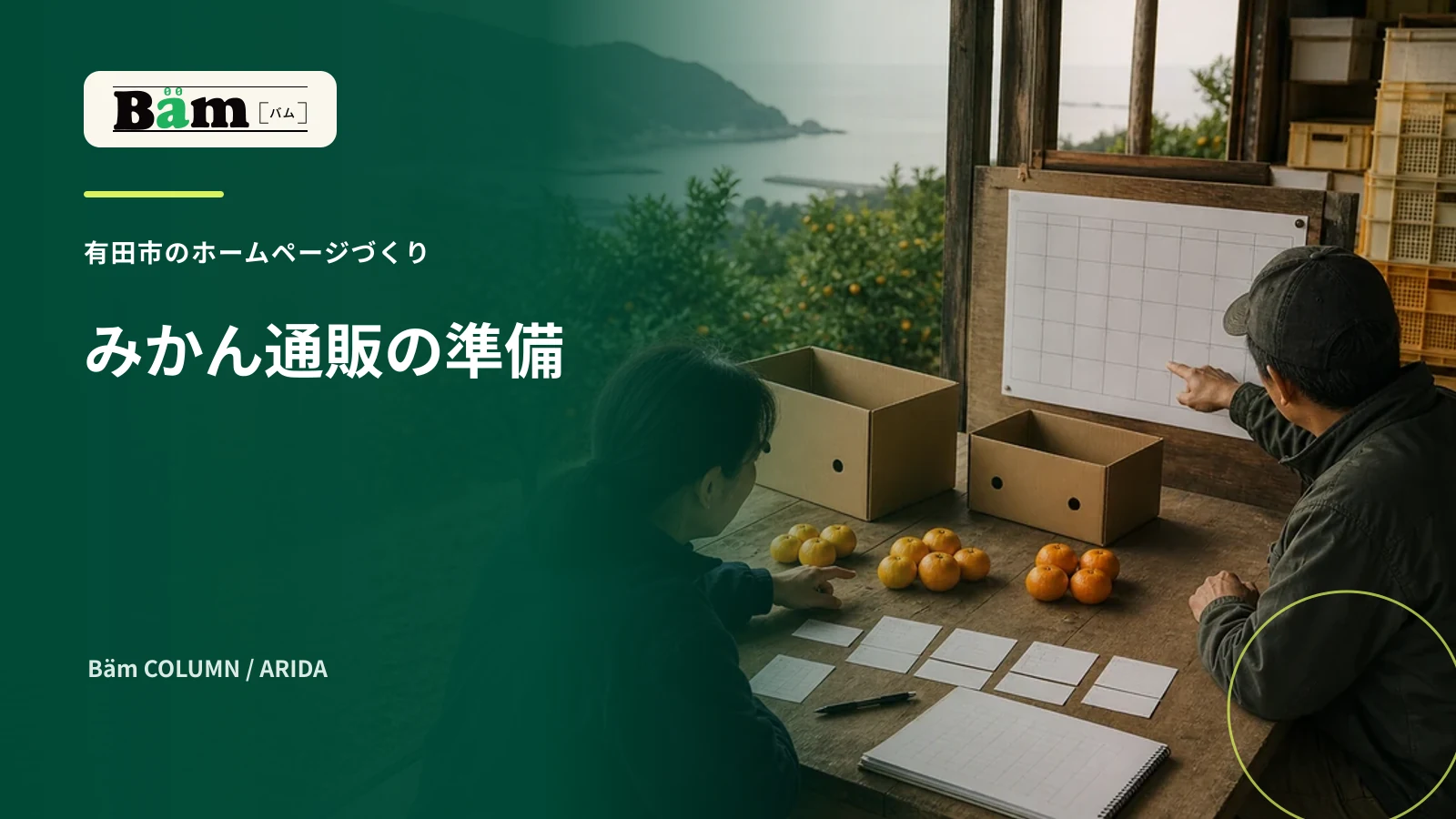 有田市のみかん農家が通販開始前に品種と箱を確認する場面