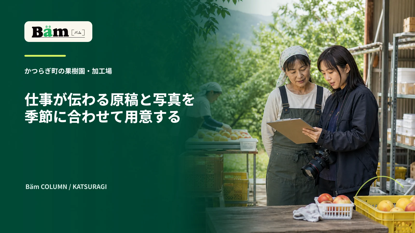 かつらぎ町の果樹園と加工場で撮影する場面を原稿と照合する様子
