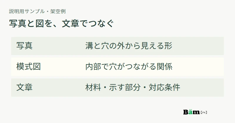 同じ説明用サンプルについて、写真で外形、模式図で内部、文章で材料と条件を伝える図