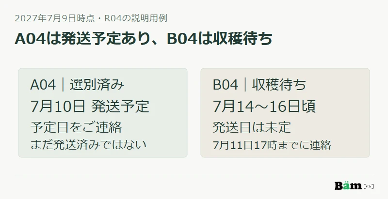 7月9日時点でA04は10日発送予定、B04は14日から16日頃の見込みで発送日未定と分ける例