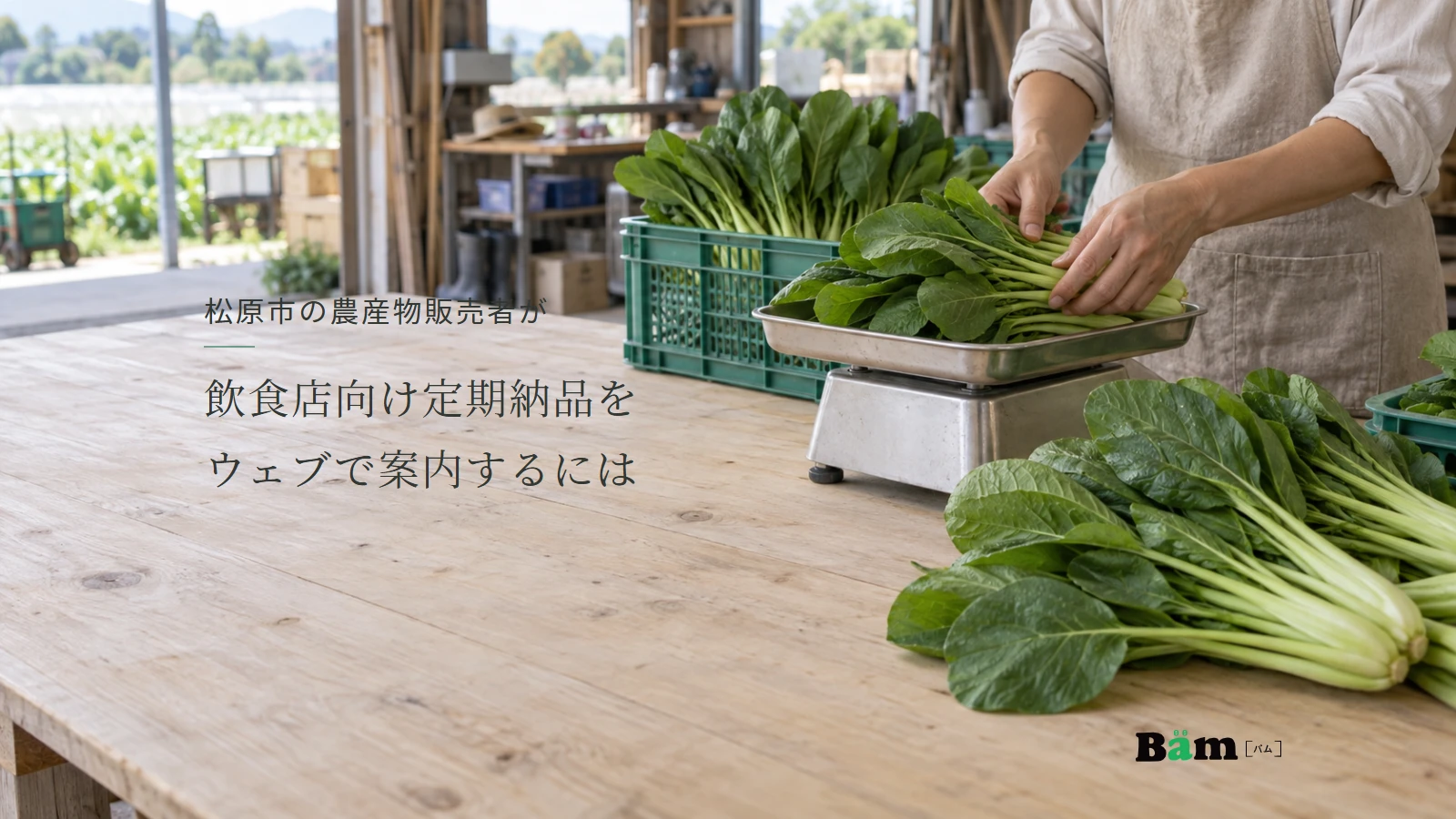 松原市の農産物販売者が飲食店向け定期納品をウェブで案内するにはというタイトル、小松菜の茎を揃えて計量台で確認する手元、右下にBämロゴ