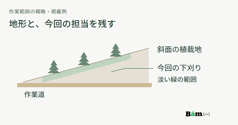 作業道に接する斜面の植栽地を横から示し、今回の下刈り範囲を淡い緑で示す概略図