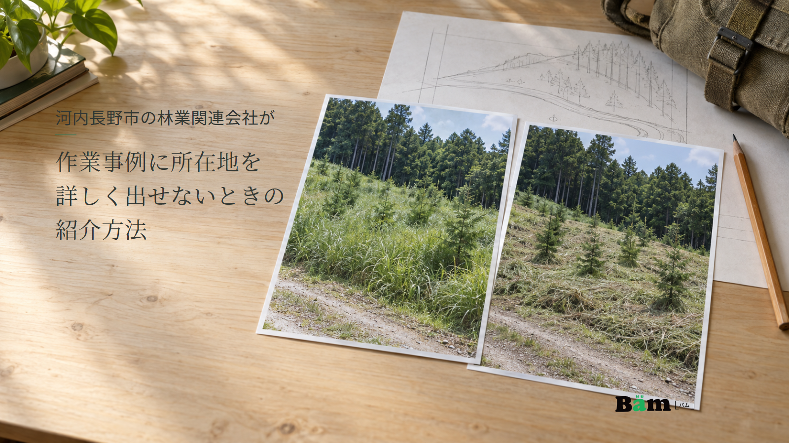 河内長野市の林業関連会社が作業事例に所在地を詳しく出せないときの紹介方法というタイトル、机上に並ぶ植栽地の作業前後の写真と概略図、右下にBämロゴ