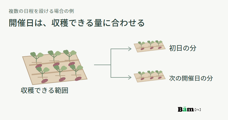 収穫できる畑の範囲を左に示し、初日の分と次の開催日の分へ分ける図