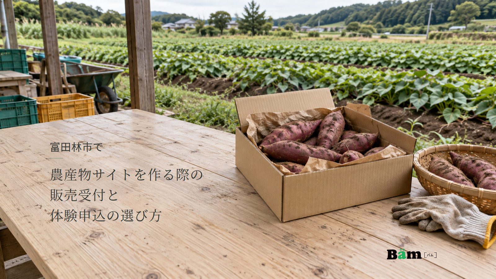 富田林市で農産物サイトを作る際の販売受付と体験申込の選び方というタイトル、さつまいもの出荷箱と収穫かご、奥の畑、右下にBämロゴ