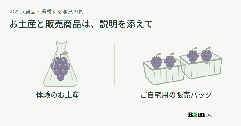 一房のぶどうを入れたお土産袋と、ご自宅用に別売するぶどうの販売パックを分けて示す図