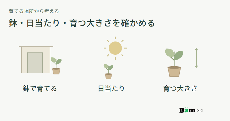 玄関のそばの鉢植え、日が当たる植物、成長した植物の高さを表す三つの図