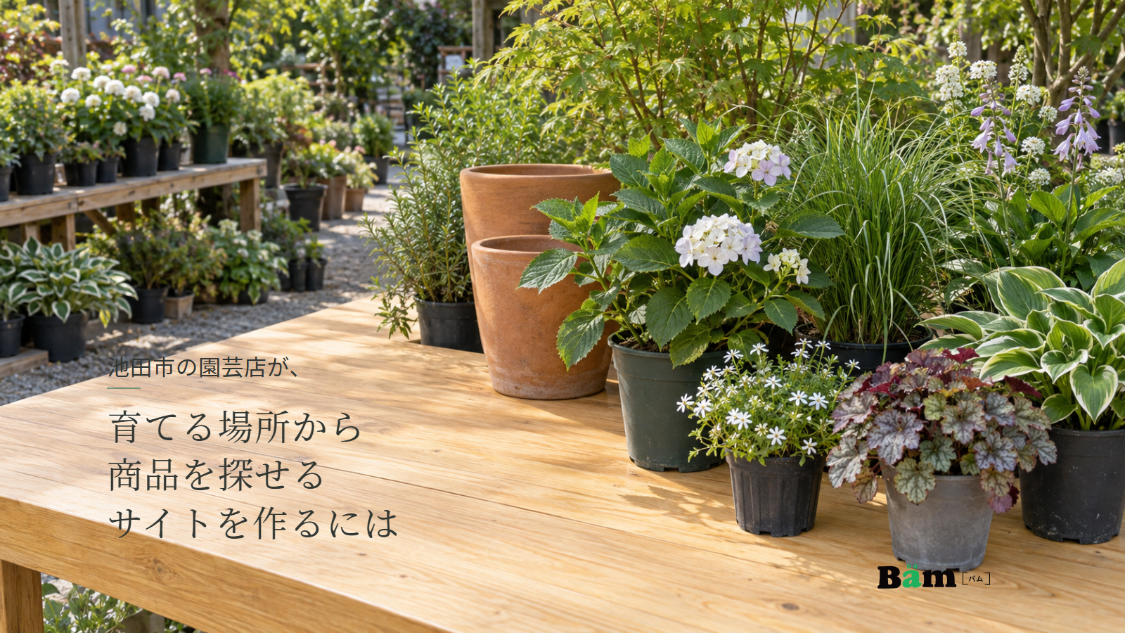 池田市の園芸店が、育てる場所から商品を探せるサイトを作るにはというタイトル、木の陳列台に並んだ草花や葉の苗と素焼き鉢、右下にBämロゴ