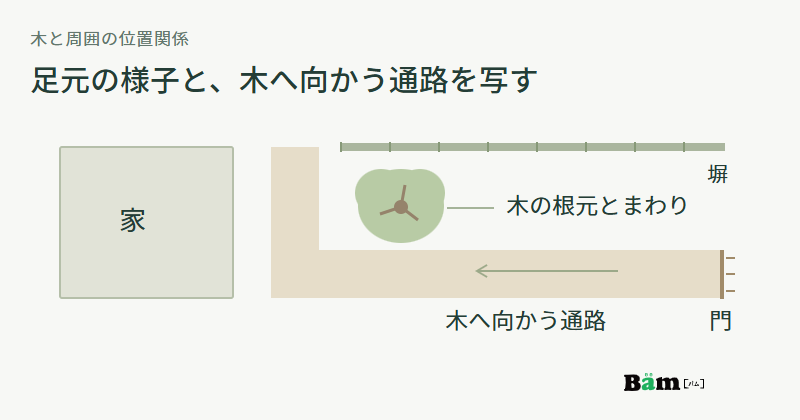 家と塀の間の庭木、木の根元、門から木へ向かう通路の位置関係を上から見た図