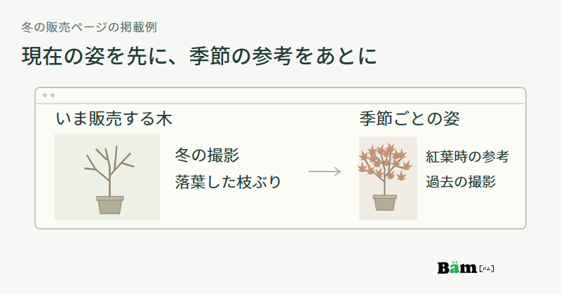 冬に販売する落葉したモミジを大きく見せ、そのあとに過去の紅葉写真を参考として載せる商品ページの図