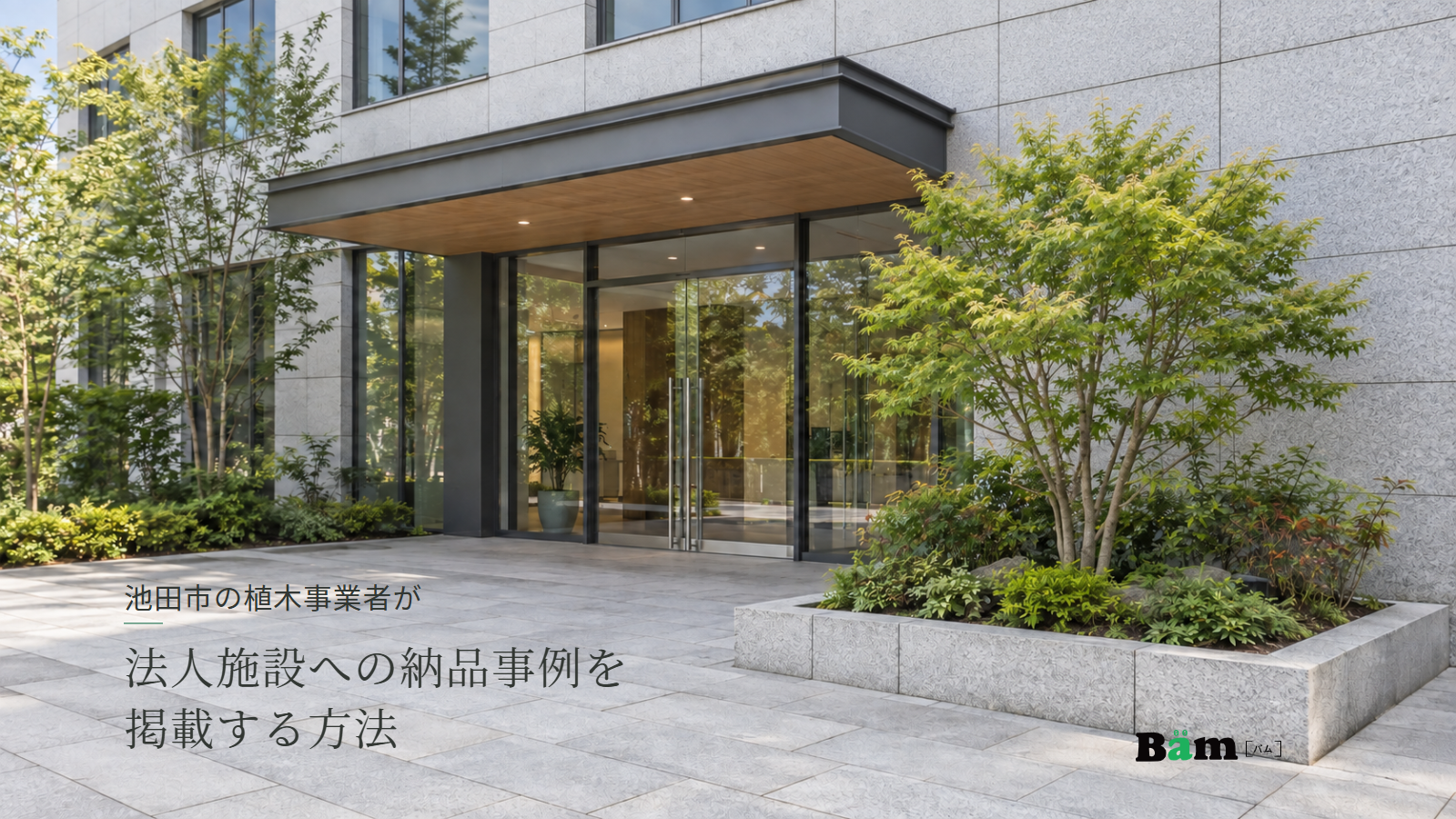 池田市の植木事業者が法人施設への納品事例を掲載する方法というタイトル、会社の玄関と通路の脇にあるモミジと低木の花壇、右下のBämロゴ