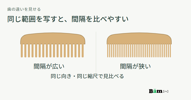 同じ向きと大きさの解櫛を並べ、歯の間隔が広いものと狭いものの違いを示した模式図