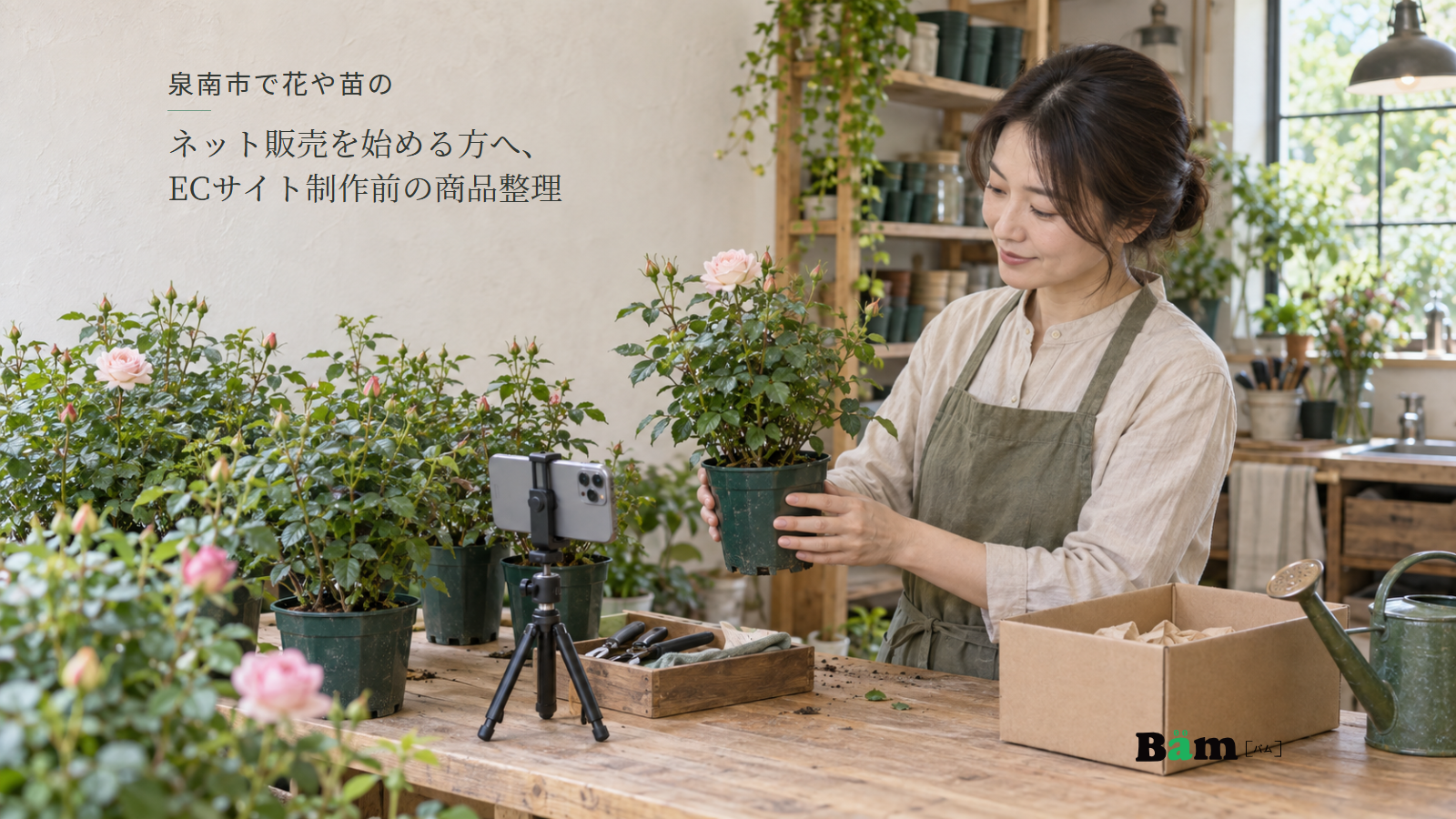 泉南市で花や苗のネット販売を始める方へ、ECサイト制作前の商品整理という全文タイトル、育成鉢のバラ苗を確認する女性と撮影用スマートフォン、右下のBämロゴ