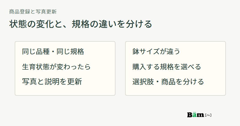 同じ品種と規格の生育変化は写真と説明を更新し、鉢サイズが違う場合は選択肢や商品を分ける図