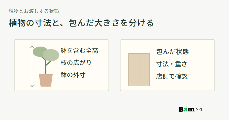 鉢を含む植物の全高や枝の広がりと、梱包後に店側が確認する寸法と重さを分けた図