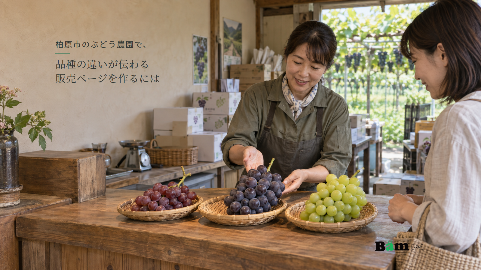 柏原市のぶどう農園で、品種の違いが伝わる販売ページを作るにはという全文タイトル、直売所で異なる色と粒のぶどうを見ながら説明する生産者とお客様、右下のBämロゴ