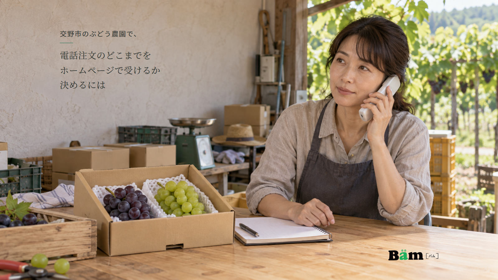 ぶどう農園の出荷作業台で、箱入りのぶどうを前に電話を受けて注文メモを取る女性、交野市のぶどう農園で、電話注文のどこまでをホームページで受けるか決めるにはの全文タイトル、右下のBämロゴ