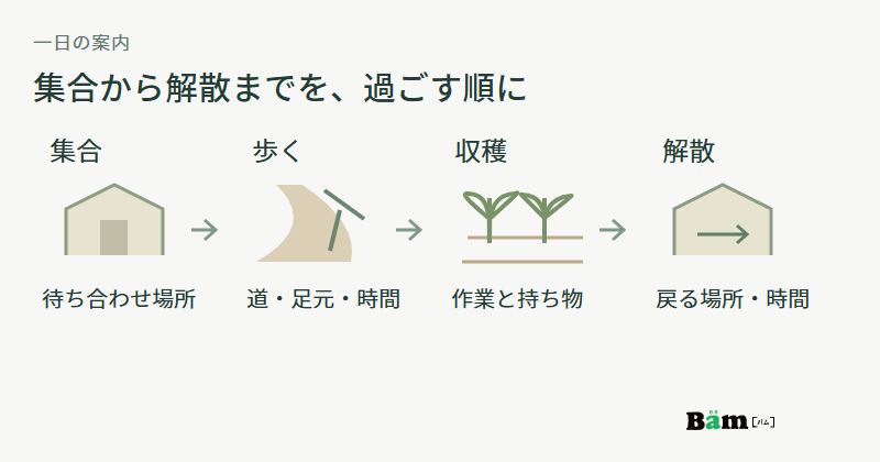 集合場所、畑までの道と歩行時間、収穫作業と持ち物、解散する場所と時間を四つの小景で示す図