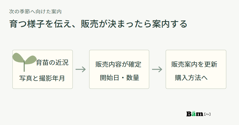 写真と撮影年月で育苗の近況を伝え、開始日と数量が確定したら販売案内を更新し購入方法へつなぐ図