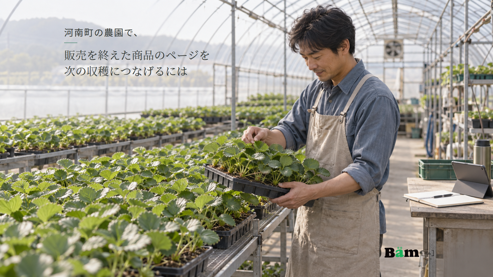 ハウスで農園主がいちごの苗を確かめ、育苗トレイと作業台のノートやタブレットが見える場面、河南町の農園で、販売を終えた商品のページを次の収穫につなげるにはの全文タイトル、右下のBämロゴ