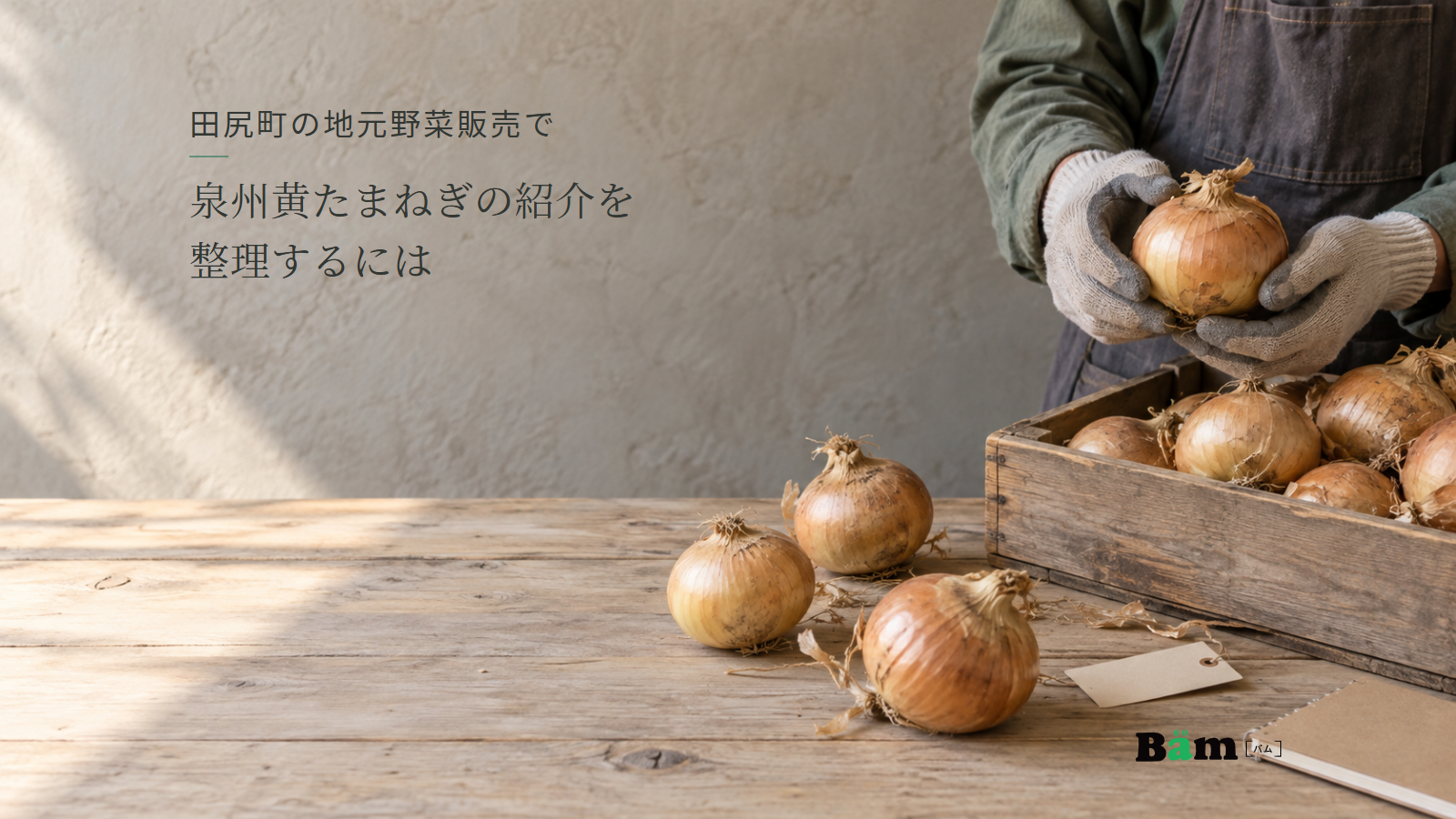 木箱のたまねぎを手に取り、商品紹介に使う情報を確かめる作業台の様子。田尻町の地元野菜販売で泉州黄たまねぎの紹介を整理するにはの全文タイトルと右下のBämロゴ