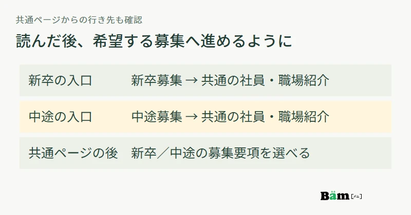 新卒募集と中途募集から共通の社員職場ページを読み、それぞれの募集要項へ戻れる案内を用意する図