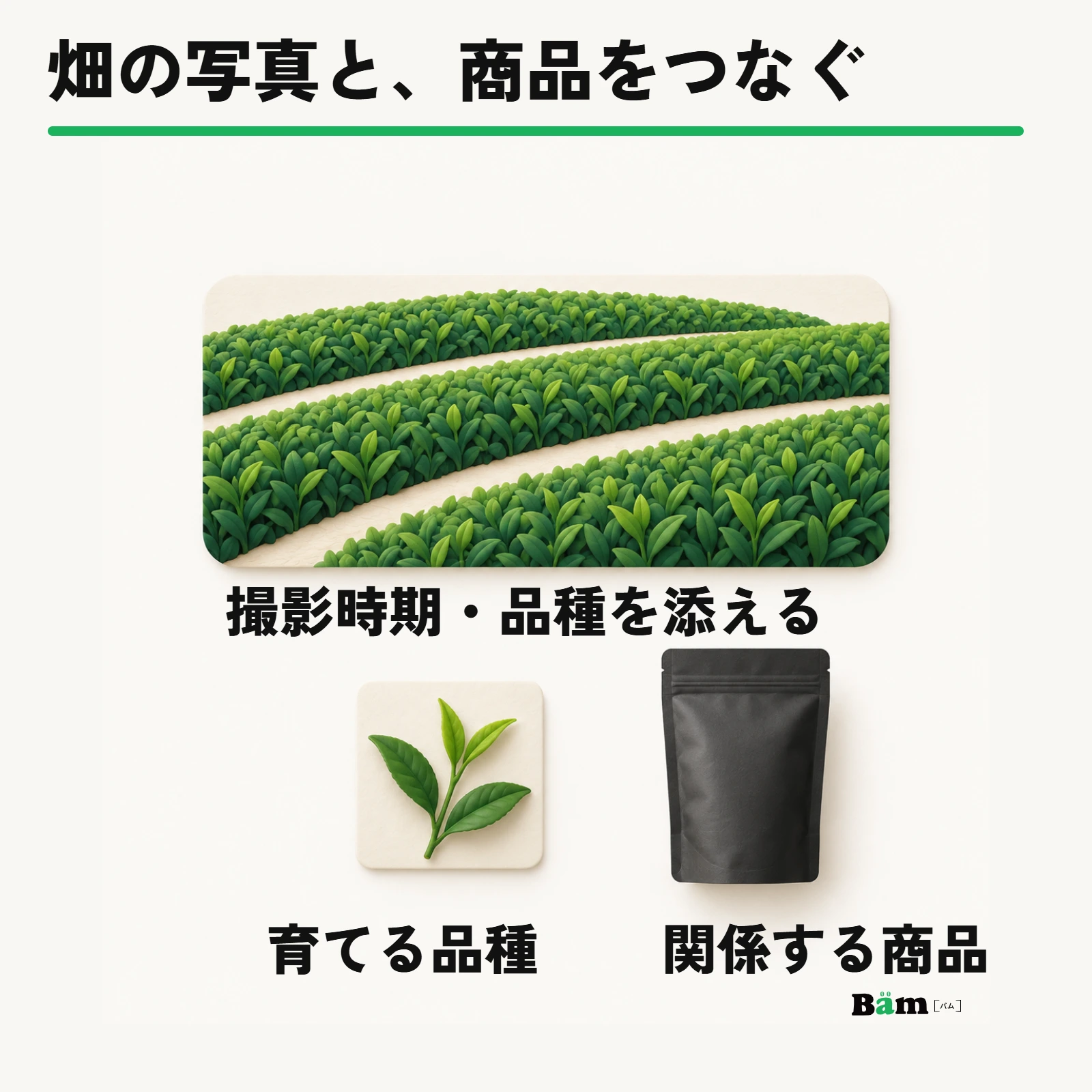 畑の写真に撮影時期と育てる品種を添え、説明する商品へつなぐ構成例