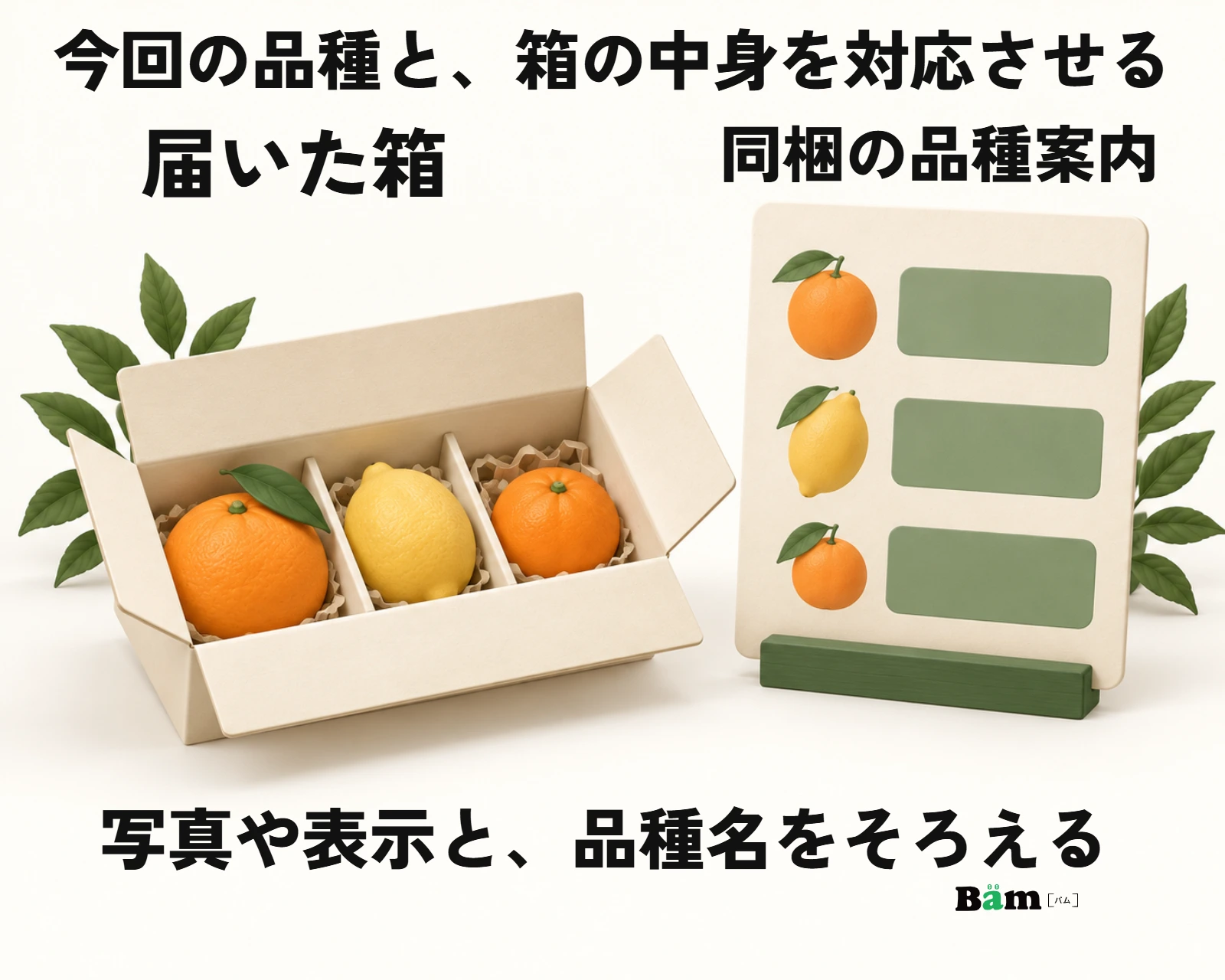 柑橘の混合箱と、今回入れた品種の案内を対応させる模式図