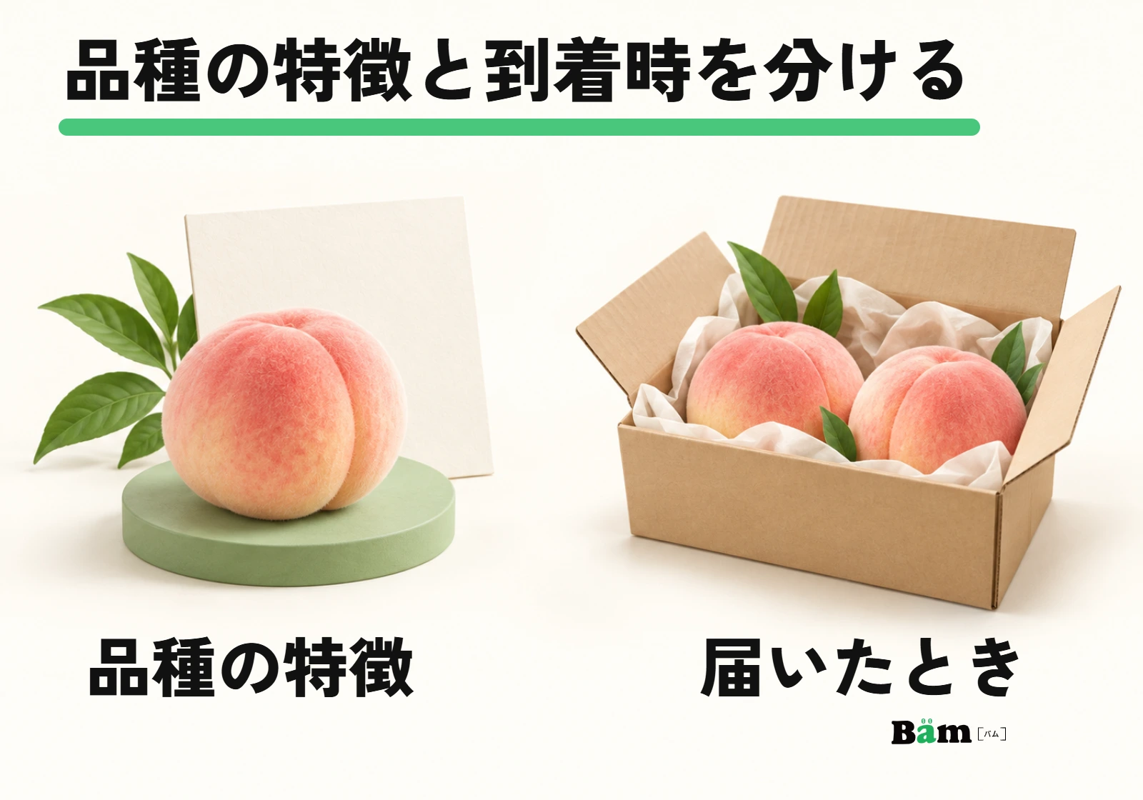 品種の特徴を説明する桃と、届いた時点を説明する配送箱の桃を分けた模式図